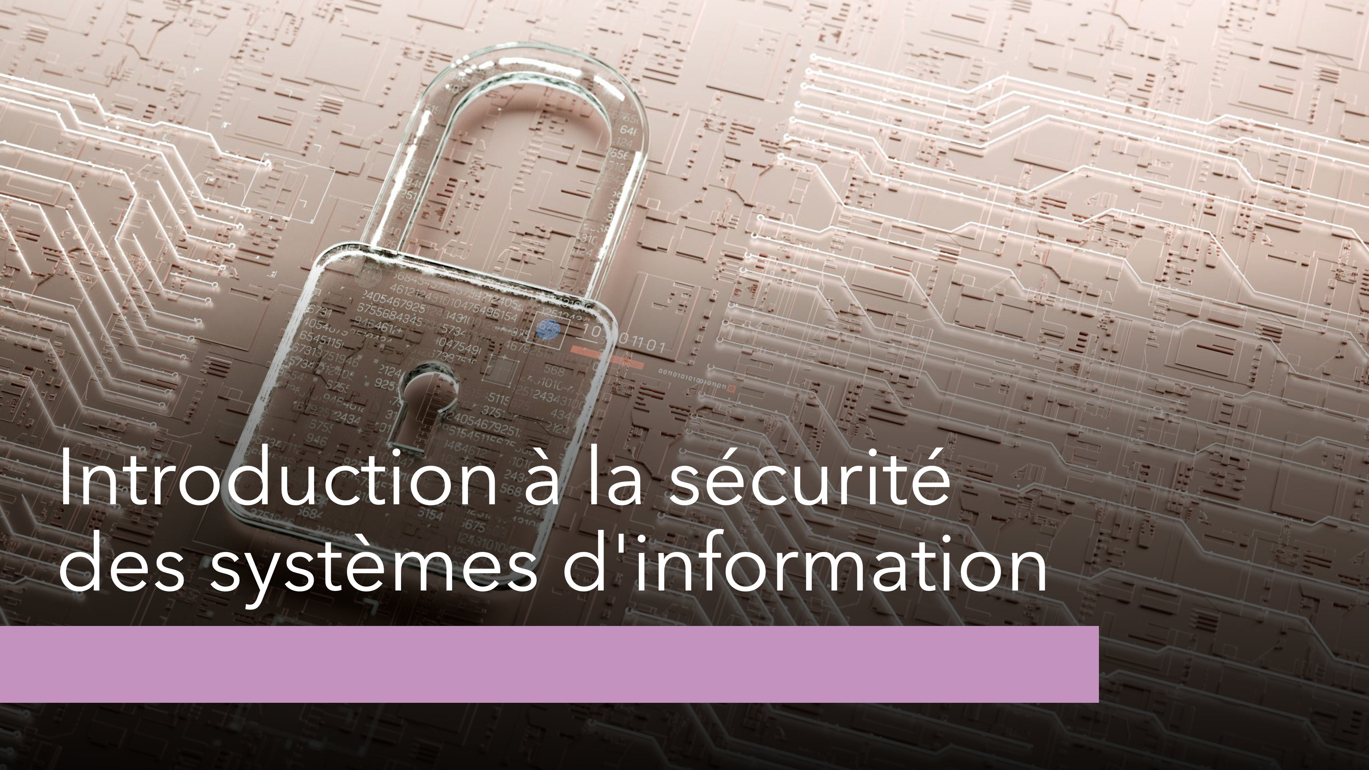 Introduction à la sécurité des systèmes d'information